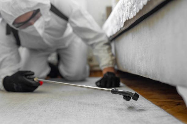 Professional Bed Bug Control technician working in Ruidoso, NM