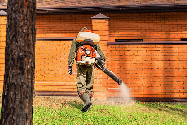 Trusted Cockroach Control service in Ruidoso, NM - Nex Pest Control